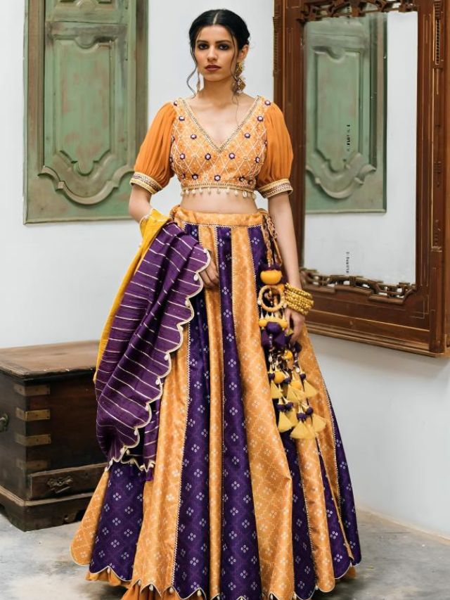 Panelled Lehenga For Women