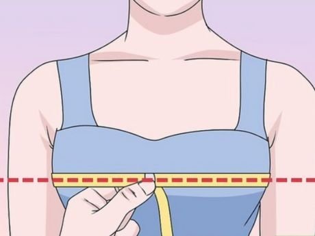 Measure Bust Areas