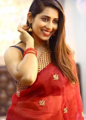 Beautiful Organza With Embroidery Work Saree In Red