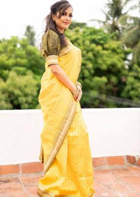 Bride Haldi heavy look Breathable Organic Banarasi  