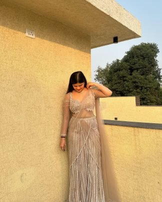 Beige Premium Butterfly Net Lehenga Choli With Heavy Embroidery