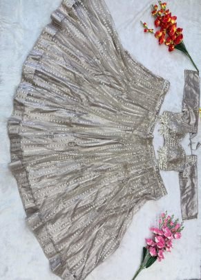 Beige Premium Butterfly Net Lehenga Choli With Heavy Embroidery