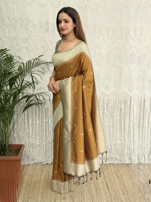 Designer Minakari Thread Work Traditional Wear Saree
