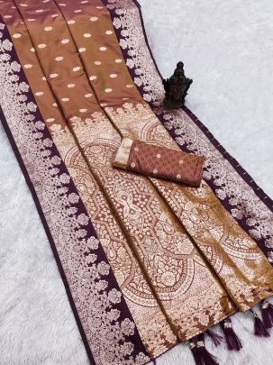 PROFESSIONAL GOOD LOOKING   BROWN BANARASISAREE 
