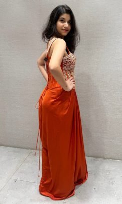 Premium Net  Silk With Embroidery cording  Indo Western Dress