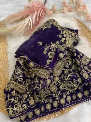 Regal Glow Embroidered Saree