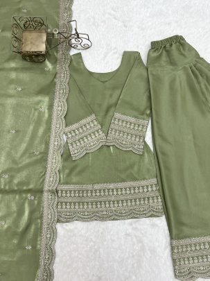 Sequence Jari Work Pista Colour  Farshi Salwar Suit