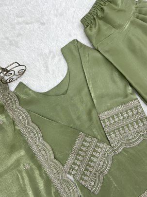 Sequence Jari Work Pista Colour  Farshi Salwar Suit