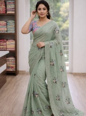 Sequins Work  Pista  Colour  Saree