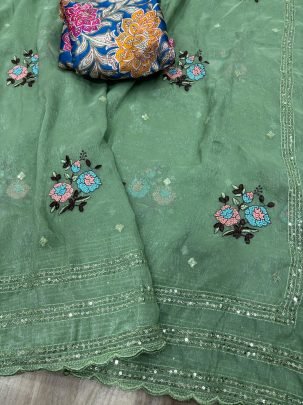 Sequins Work  Pista  Colour  Saree